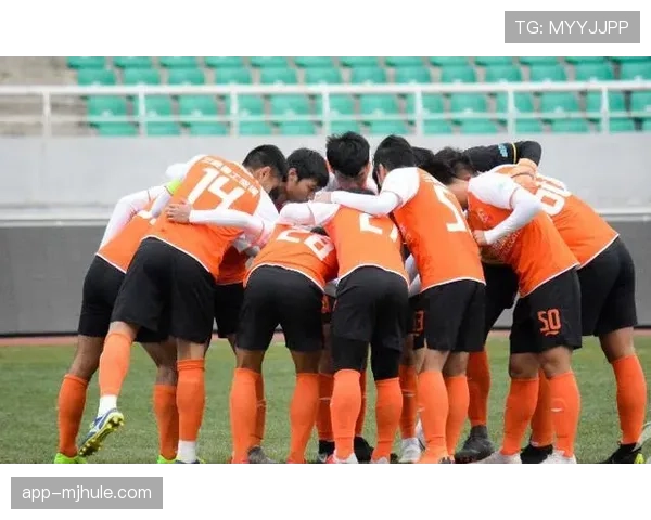 西汉姆联冬窗大规模换血保级压力下的赌博式操作